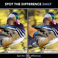 Spot The Difference Daily Game - Play Online at Hidden4Fun