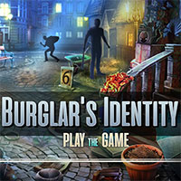 Burglar's Identity