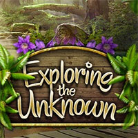 Exploring the Unknown