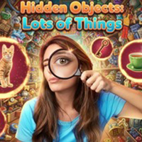 Hidden Objects: Lots of Things