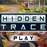 Hidden Trace
