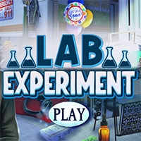 Lab Experiment