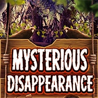 Mysterious Disappearance