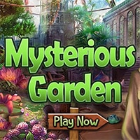 Mysterious Garden