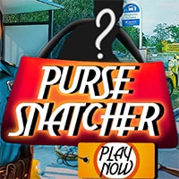 Purse Snatcher