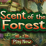 Scent of the Forest