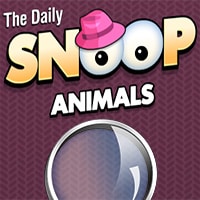 The Daily SNOOP: Animals