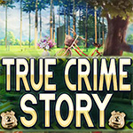 True Crime Story