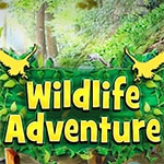 Wildlife Adventure